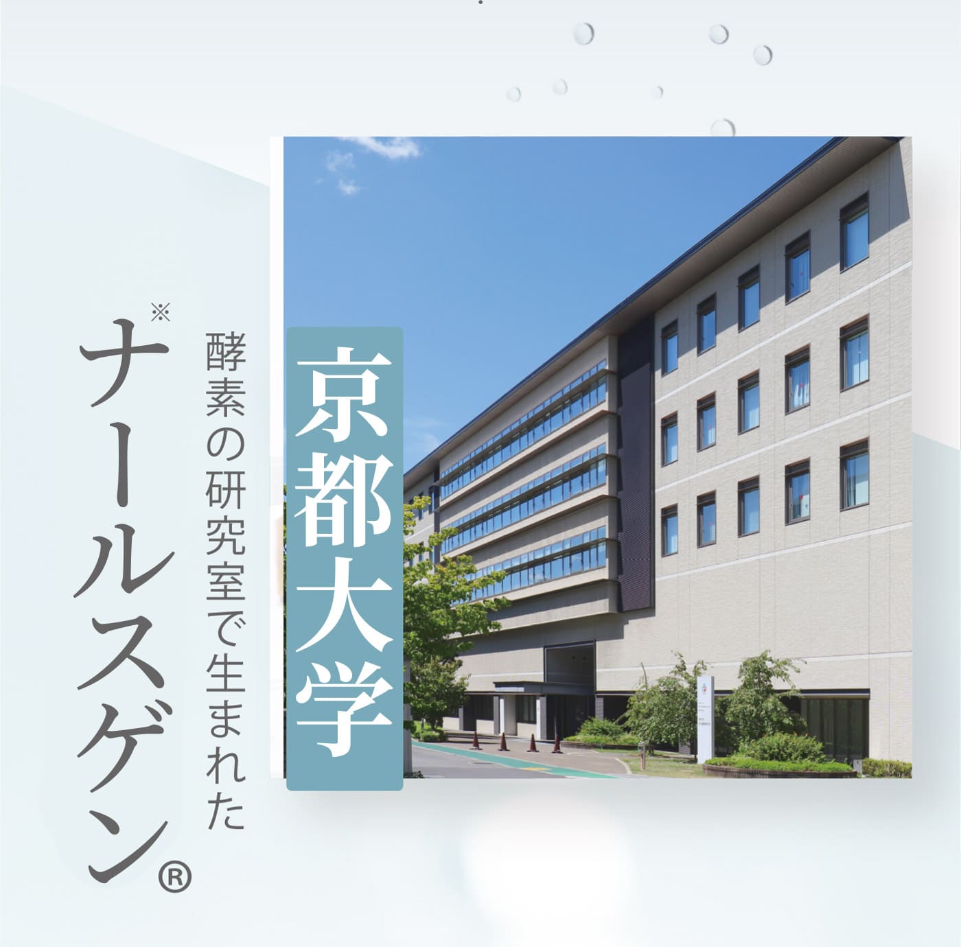京都大学校その研究室で生まれたナールスゲン