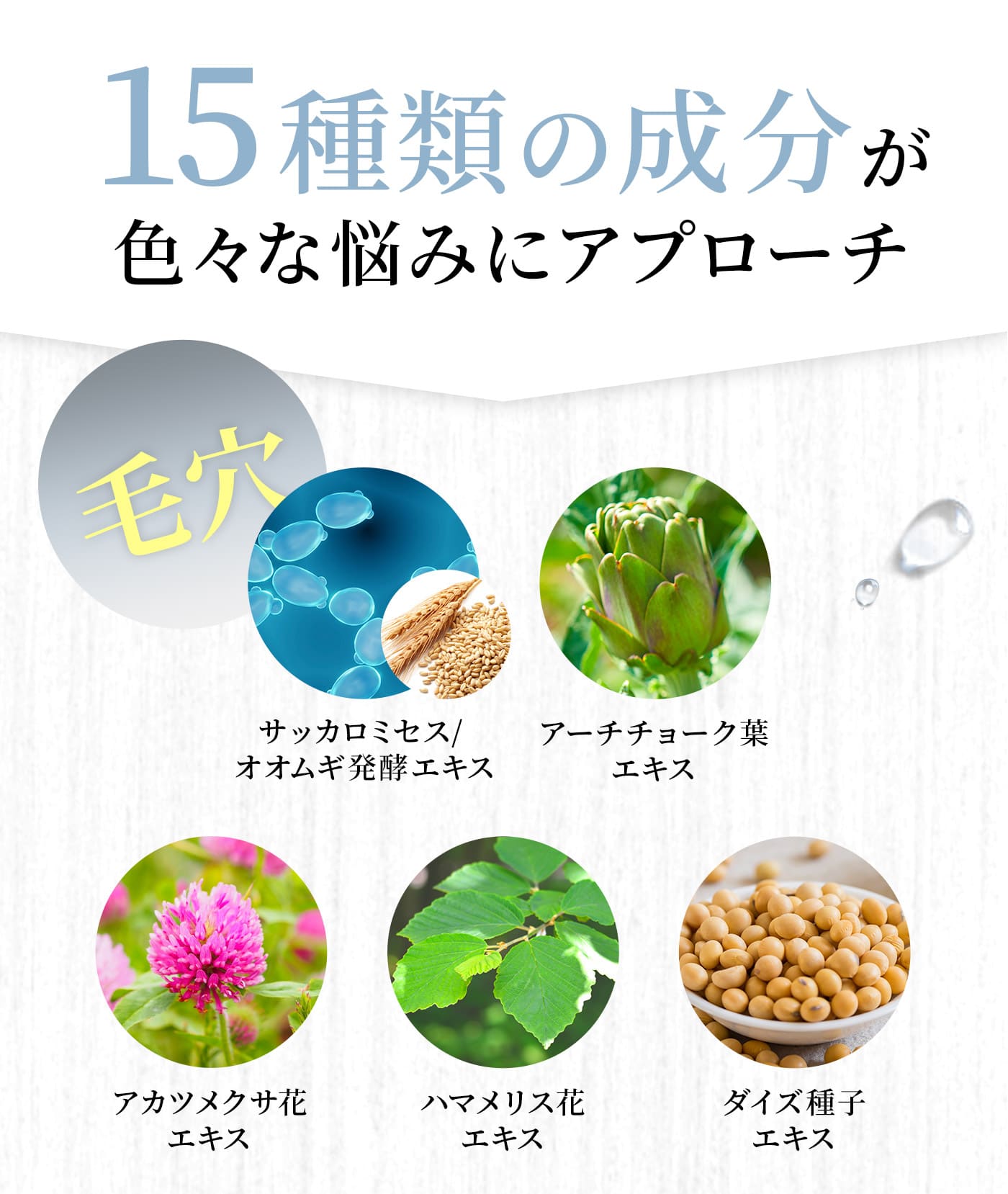 15種類の成分が色々な悩みにアプローチ 毛穴