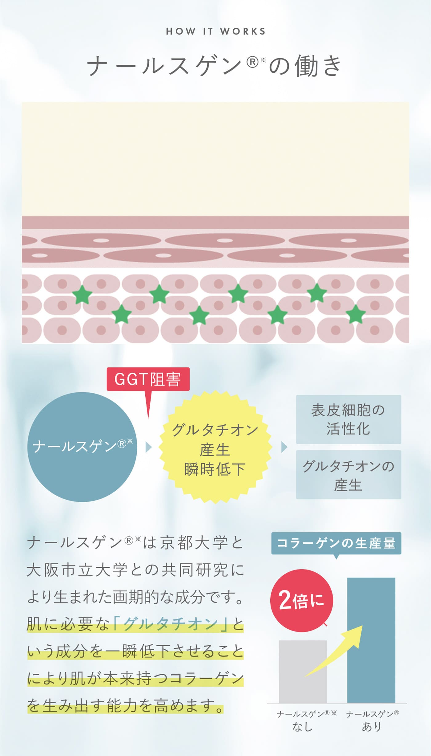 ナールスゲンの働き